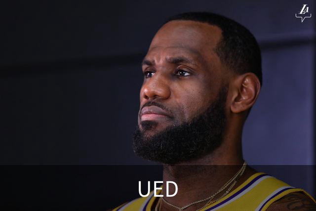 UED公司简介配图